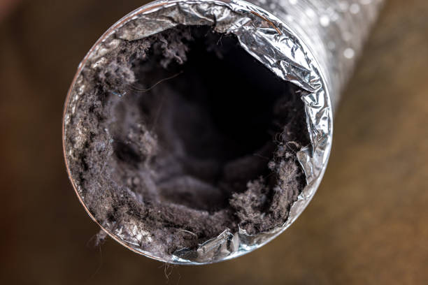 Best Ventilation Cleaning Services  in Heber Springs, AR